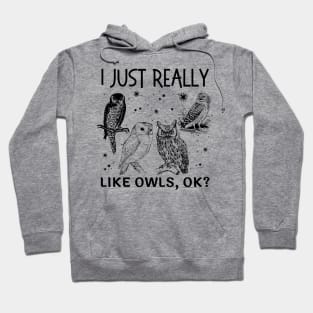 I Just Really Like Owls Ok Hoodie